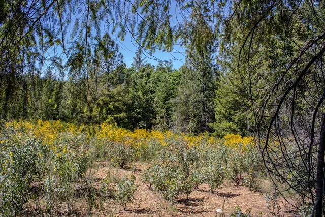 a backyard of a house with a yard and outdoor seating