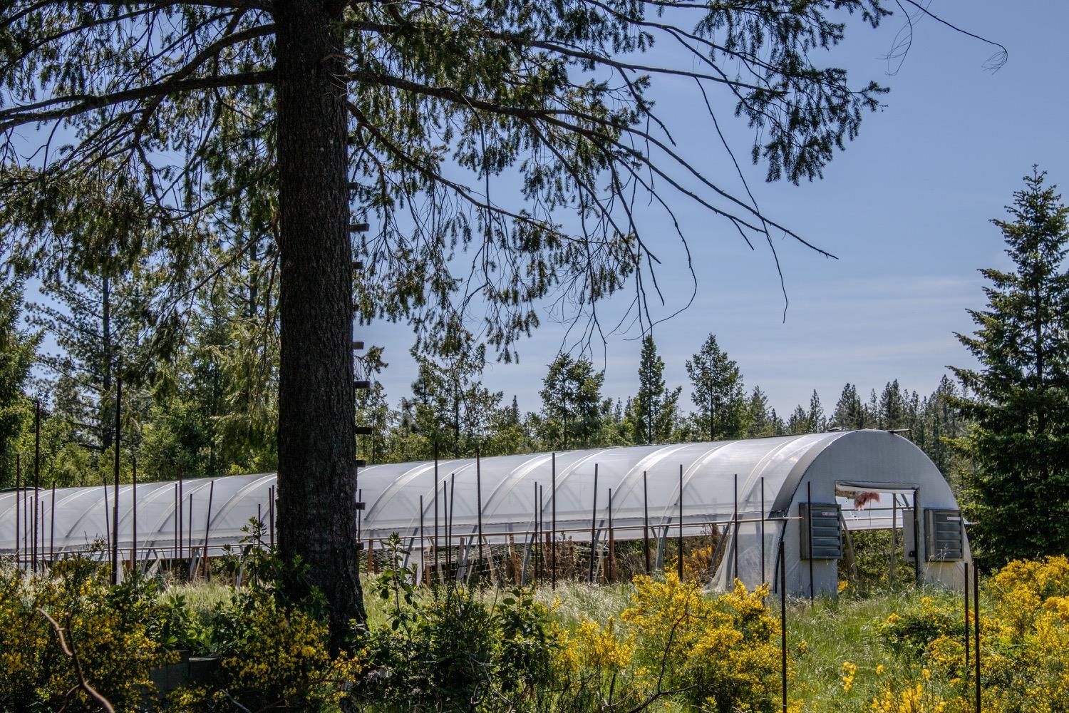 5734 Wilder Road Georgetown, CA 95634 - Photo 31 of 93