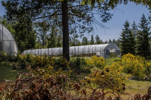 a view of a green field