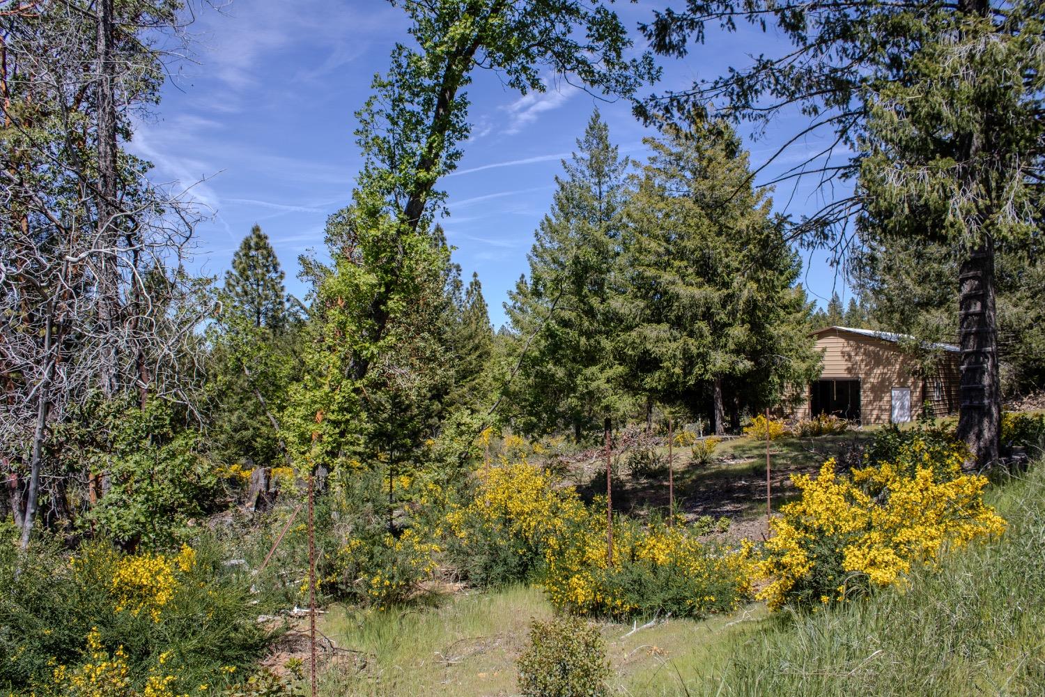 5734 Wilder Road Georgetown, CA 95634 - Photo 38 of 93