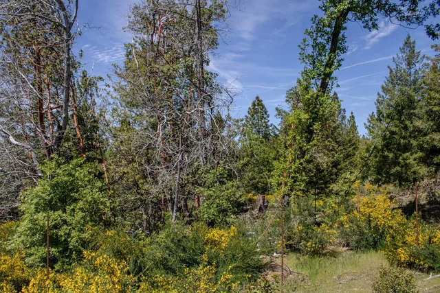 a view of swimming pool with a yard
