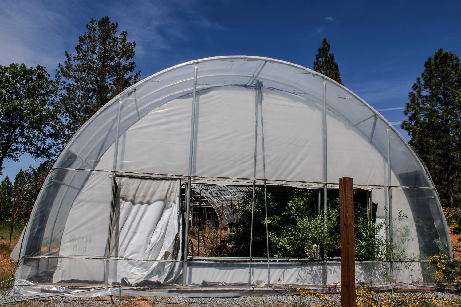 5734 Wilder Road Georgetown, CA 95634 - Photo 48 of 93