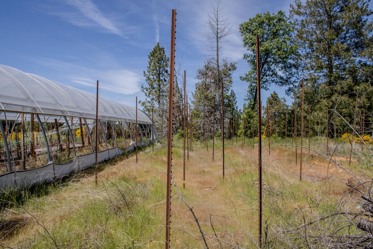 5734 Wilder Road Georgetown, CA 95634 - Photo 50 of 93