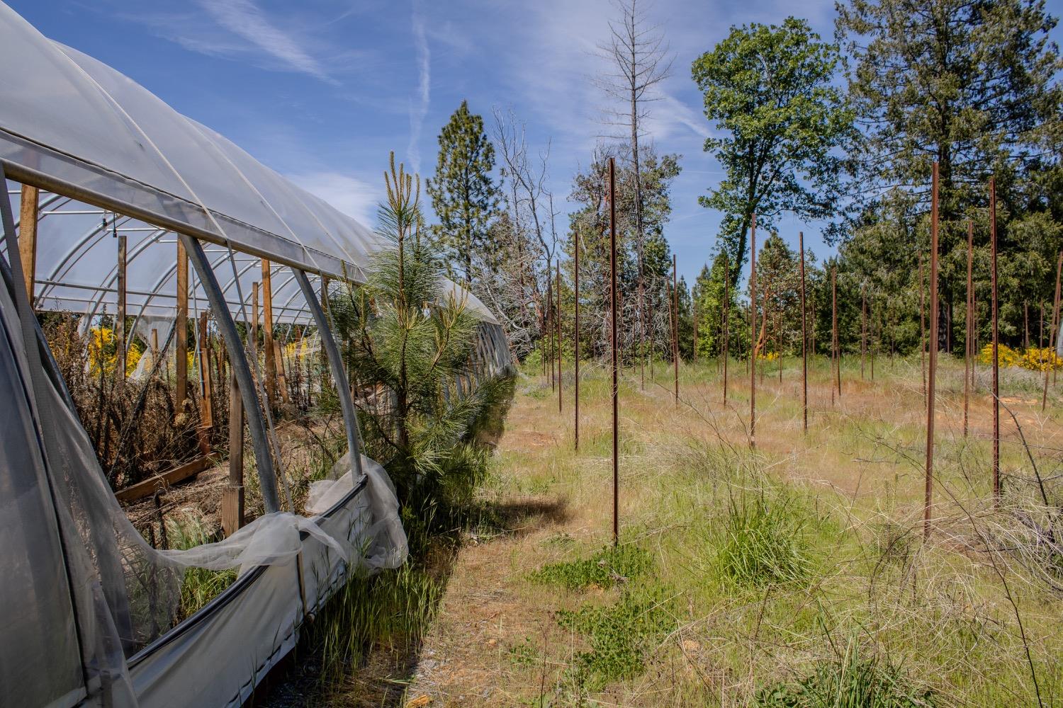 5734 Wilder Road Georgetown, CA 95634 - Photo 51 of 93