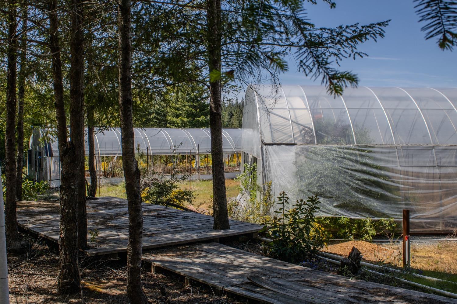 5734 Wilder Road Georgetown, CA 95634 - Photo 53 of 93 a view of a pathway of a building