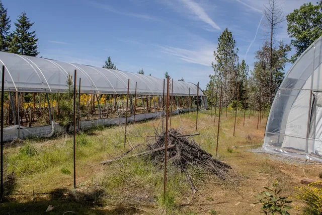 $698,000 | 5734 Wilder Road, Georgetown, CA 95634