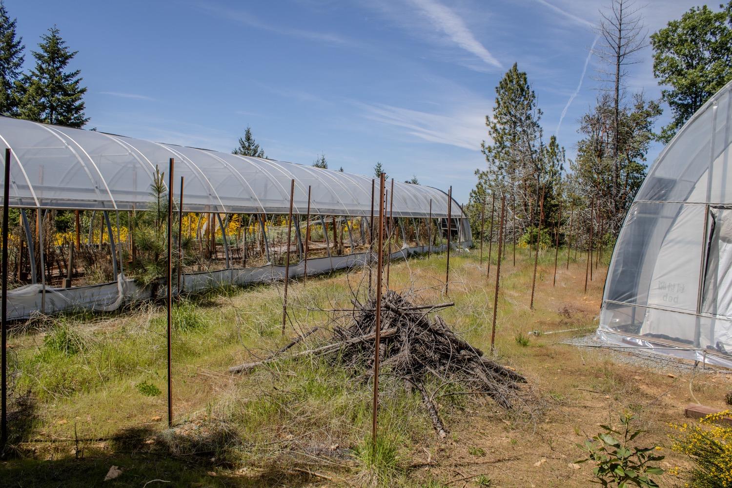5734 Wilder Road Georgetown, CA 95634 - Photo 57 of 93 a view of a swimming pool