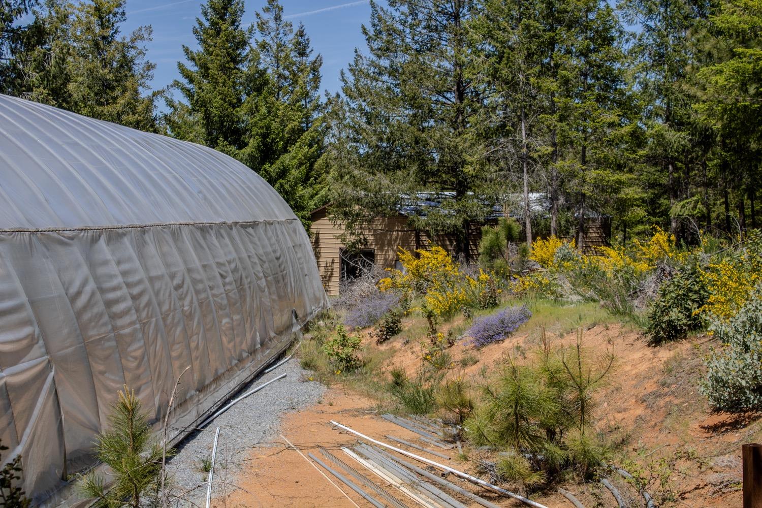 5734 Wilder Road Georgetown, CA 95634 - Photo 60 of 93