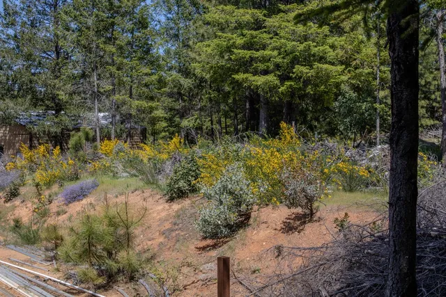 $698,000 | 5734 Wilder Road, Georgetown, CA 95634