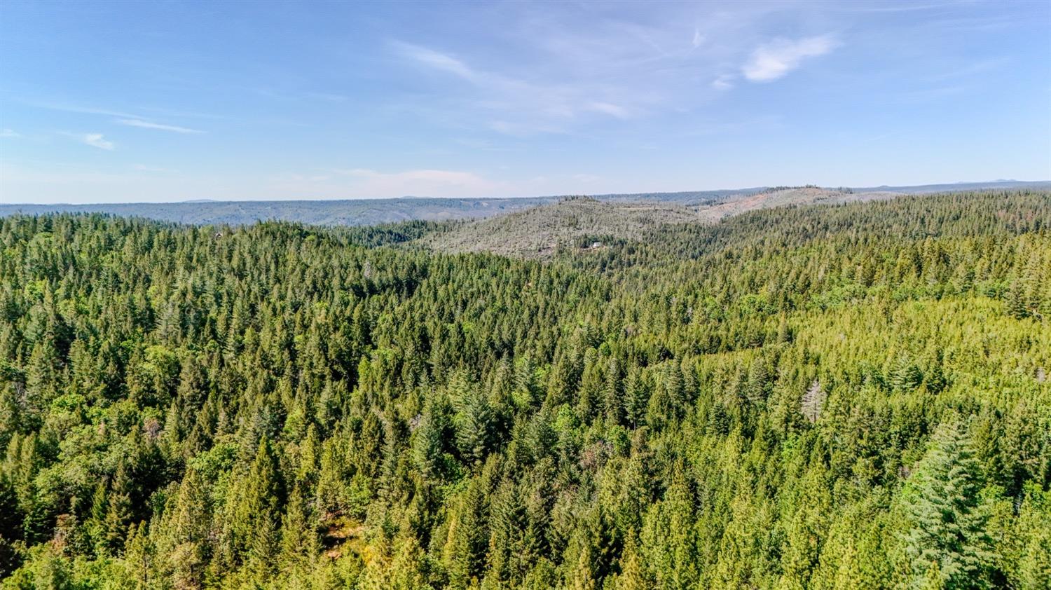 5734 Wilder Road Georgetown, CA 95634 - Photo 67 of 93 a view of a green field