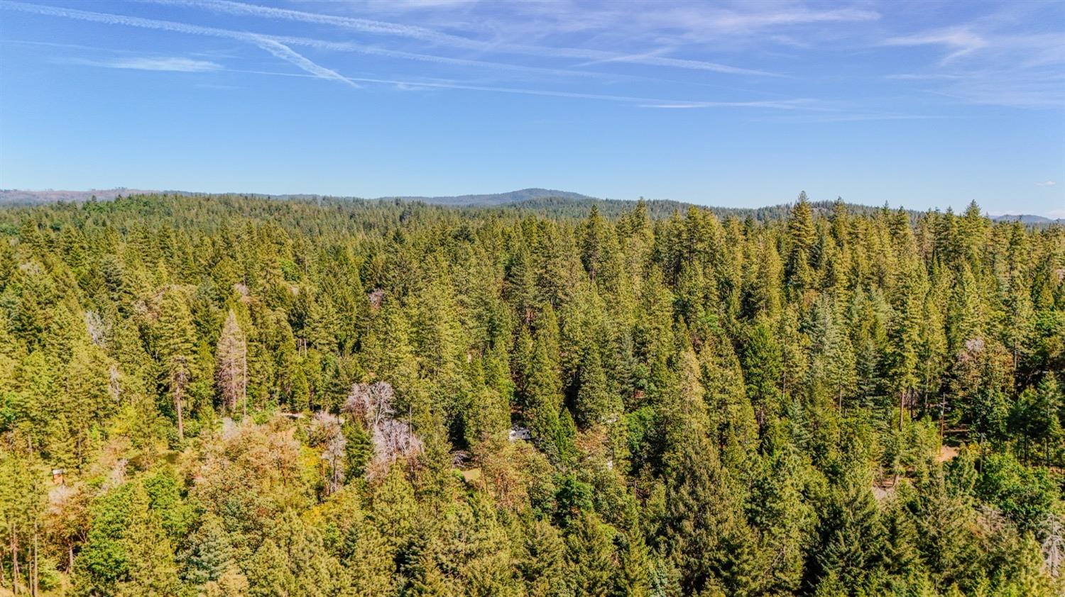 5734 Wilder Road Georgetown, CA 95634 - Photo 68 of 93