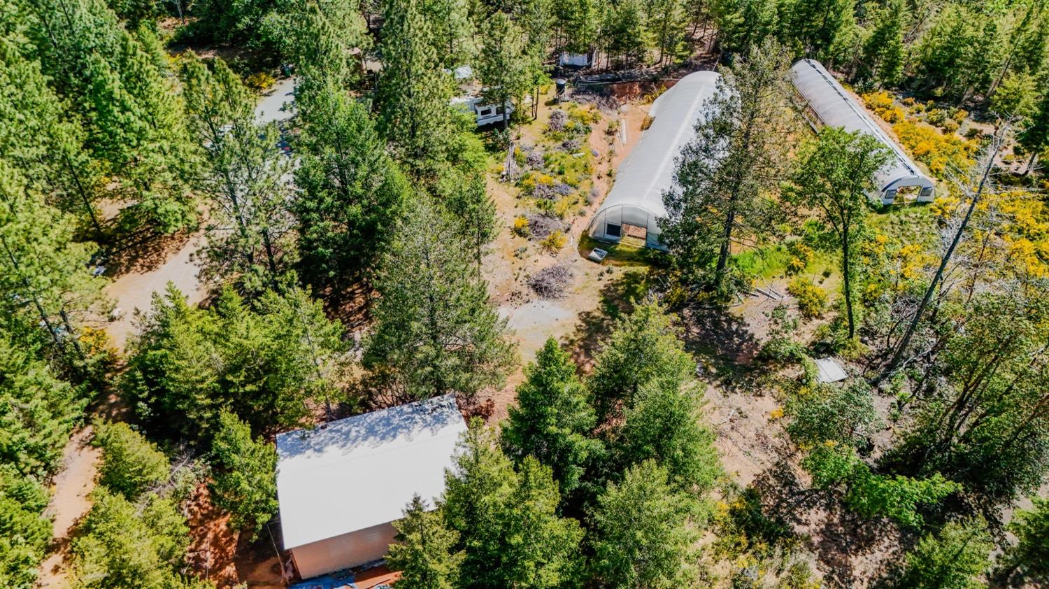 5734 Wilder Road Georgetown, CA 95634 - Photo 70 of 93 an aerial view of residential house with outdoor space and trees all around