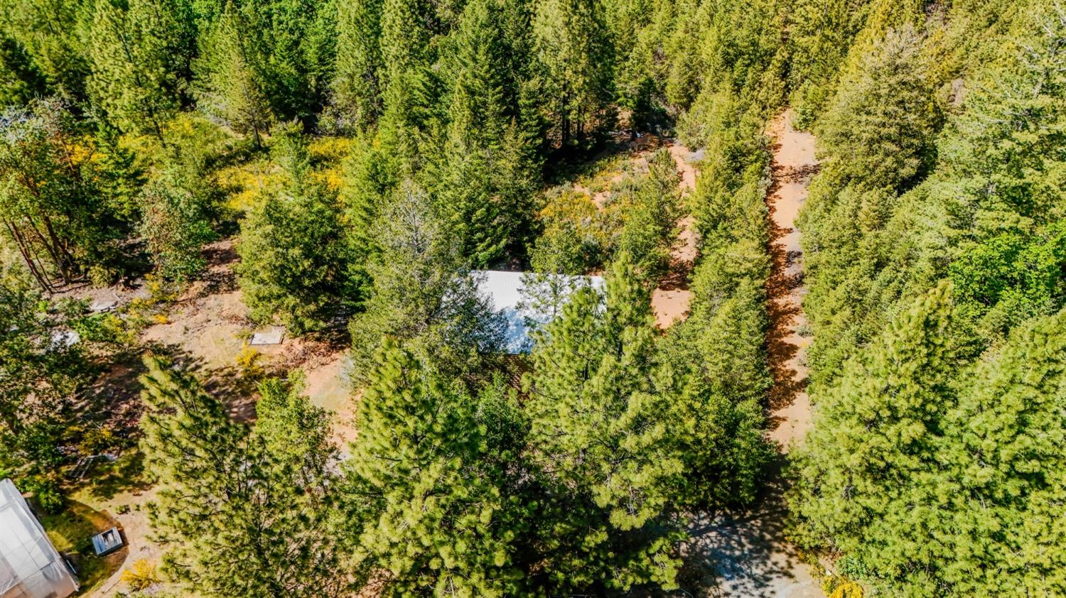 5734 Wilder Road Georgetown, CA 95634 - Photo 75 of 93