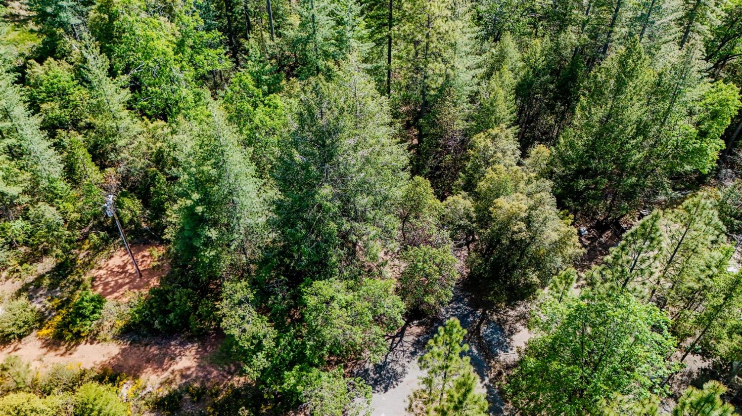 5734 Wilder Road Georgetown, CA 95634 - Photo 79 of 93 an aerial view of residential house with outdoor space and trees all around