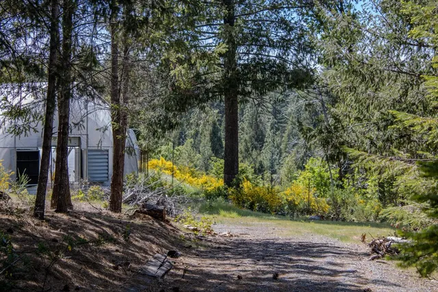 a view of a yard with a tree