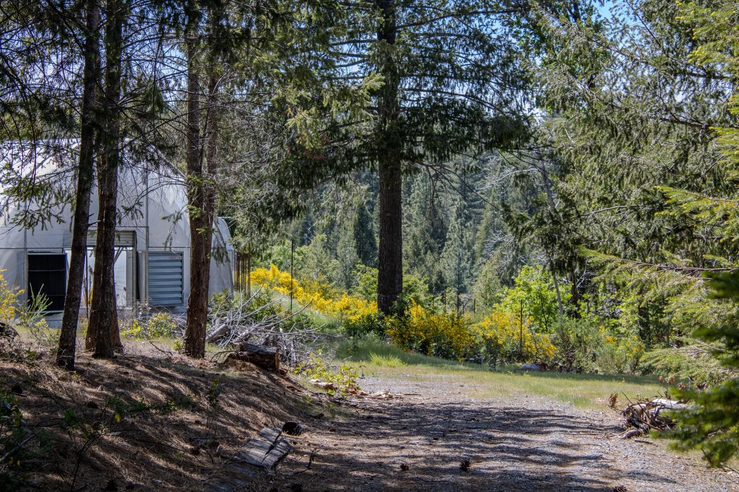 5734 Wilder Road Georgetown, CA 95634 - Photo 8 of 93