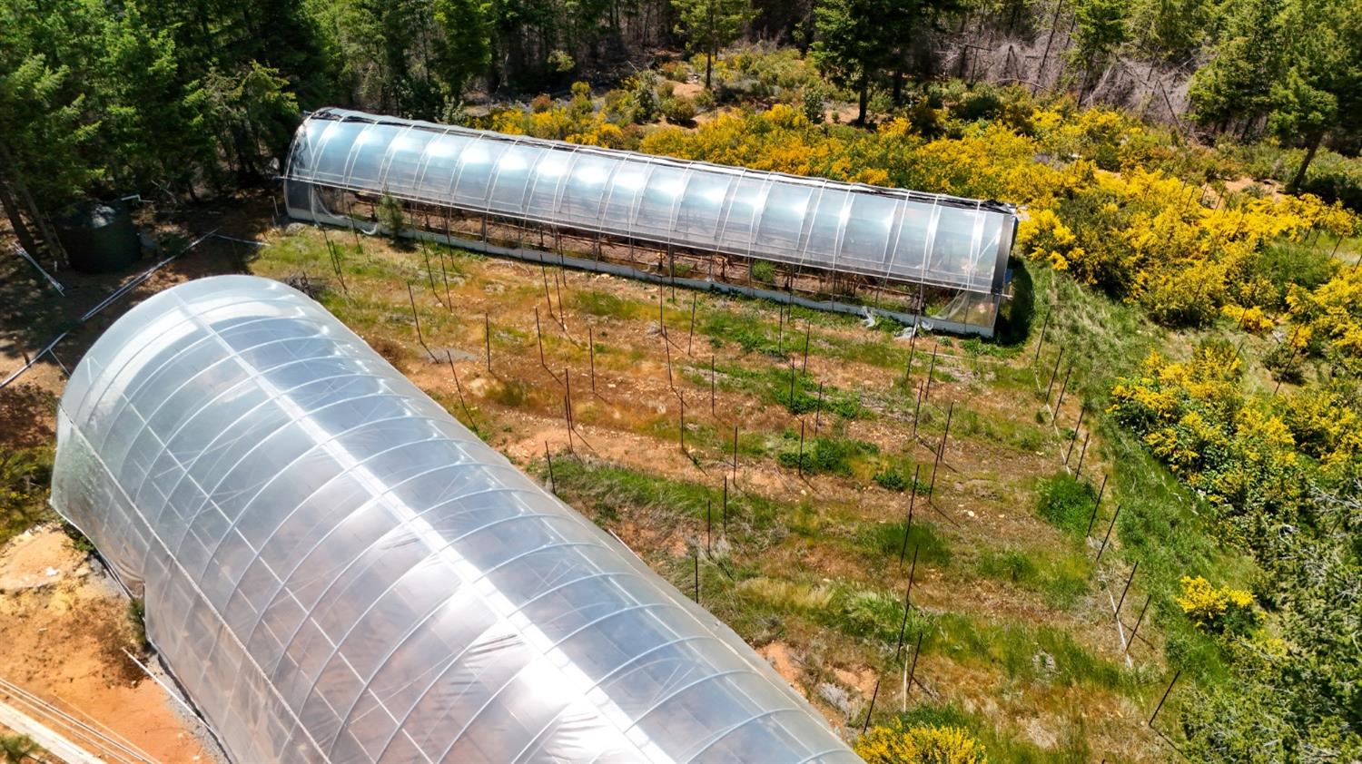 5734 Wilder Road Georgetown, CA 95634 - Photo 81 of 93