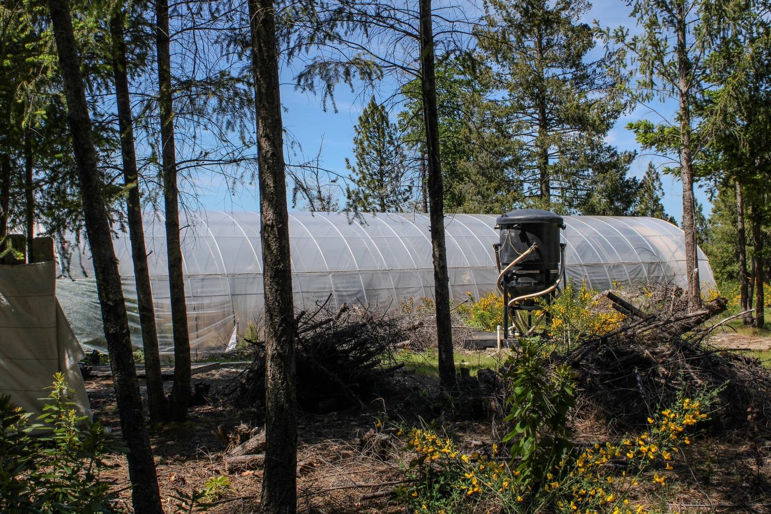 5734 Wilder Road Georgetown, CA 95634 - Photo 87 of 93 a backyard of a house with lots of green space