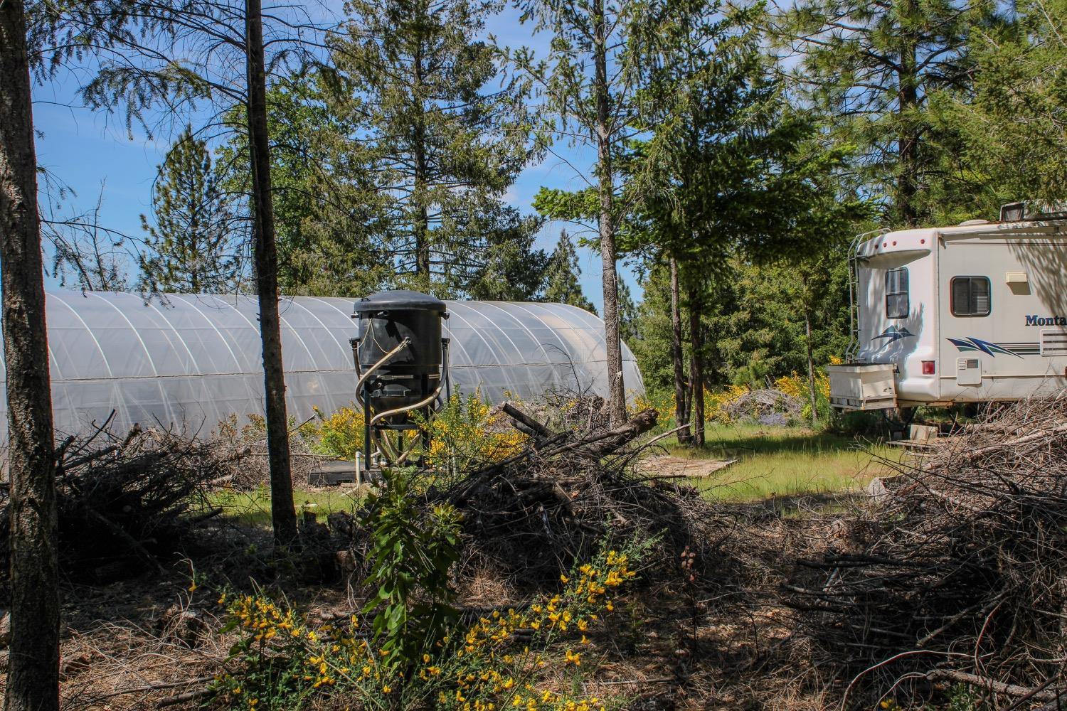 5734 Wilder Road Georgetown, CA 95634 - Photo 89 of 93 a view of a yard in front of a house