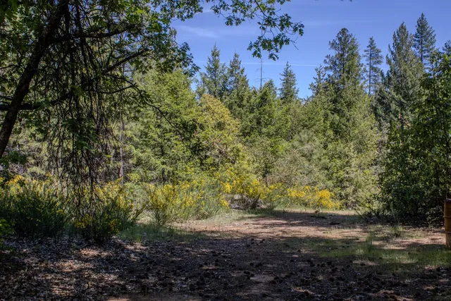 $698,000 | 5734 Wilder Road, Georgetown, CA 95634