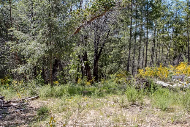 $698,000 | 5734 Wilder Road, Georgetown, CA 95634