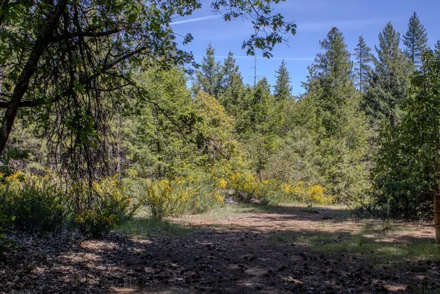 $698,000 | 5734 Wilder Road, Georgetown, CA 95634