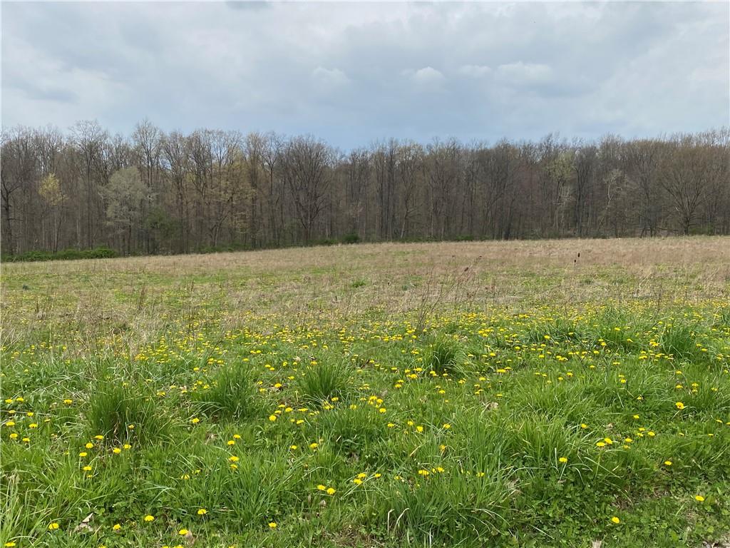 0 Gravatt Road Clarks Mills, PA 16114 - Photo 1 of 1