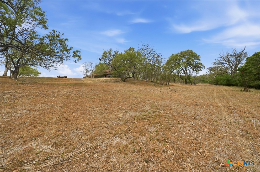 3500 Scull Road Martindale, TX 78655 - Photo 39 of 43