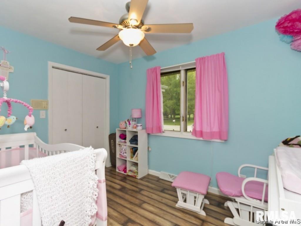 705 Allen Drive Athens, IL 62613 - Photo 22 of 36 Gallery Image 22