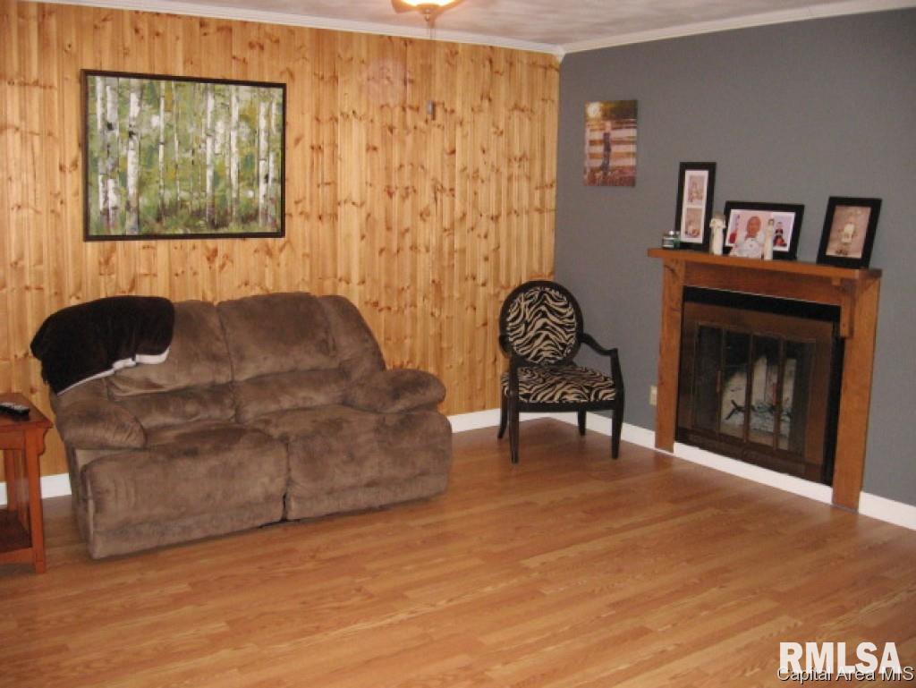 705 Allen Drive Athens, IL 62613 - Photo 5 of 36 Gallery Image 5