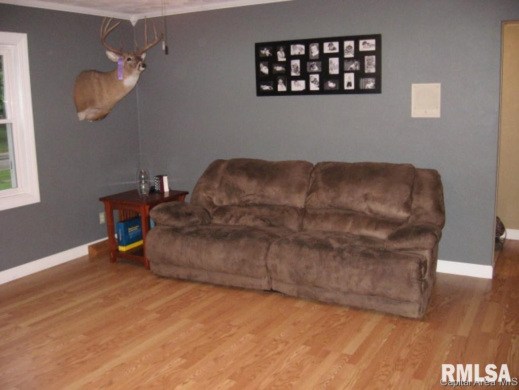 705 Allen Drive Athens, IL 62613 - Photo 7 of 36 Gallery Image 7
