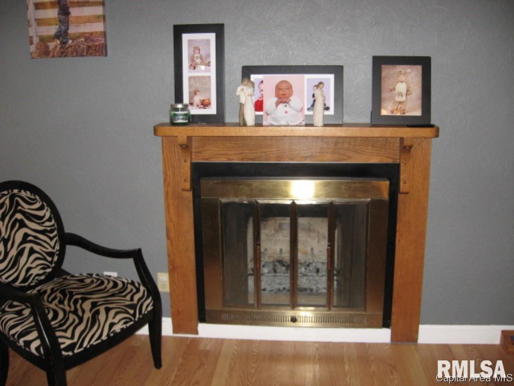 705 Allen Drive Athens, IL 62613 - Photo 9 of 36 Gallery Image 9