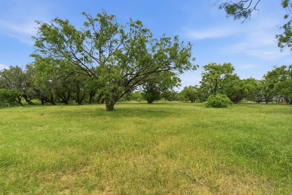 1 Fm 880 Moran, TX 76464 - Photo 4 of 13
