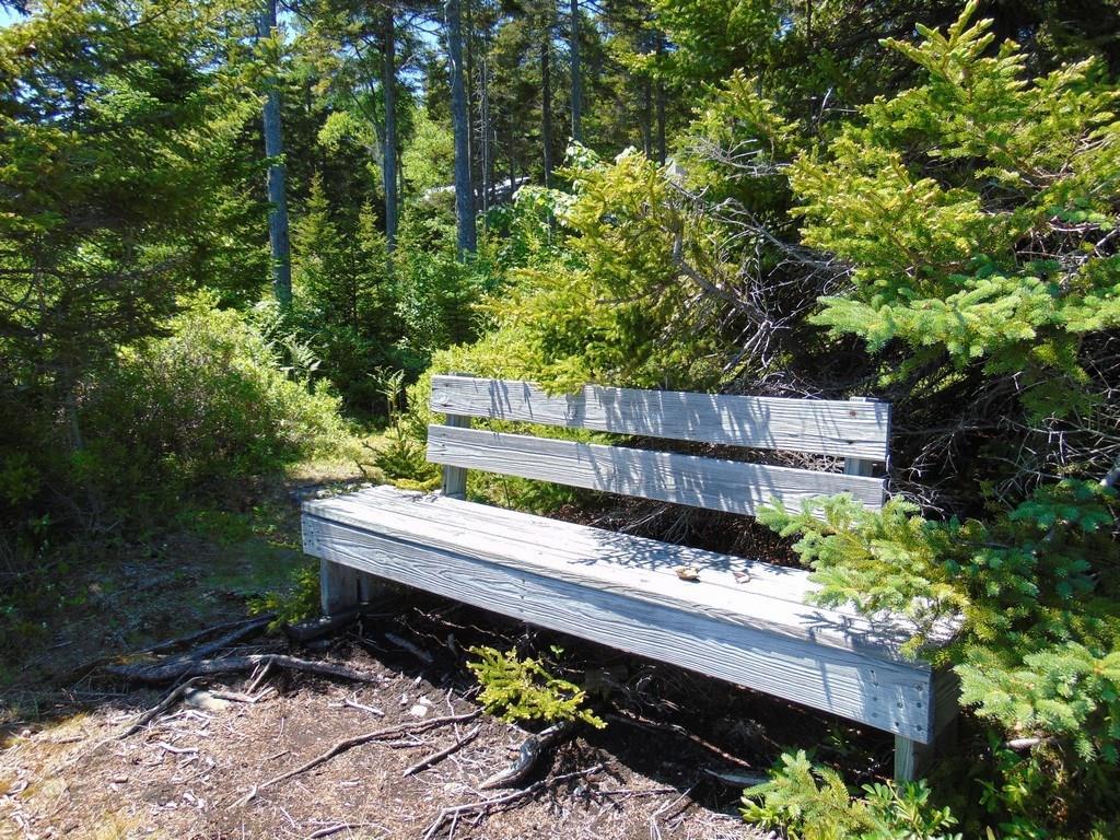 29 Granite Shore Milbridge, ME 04658 - Photo 33 of 35 This is everyone's favorite...