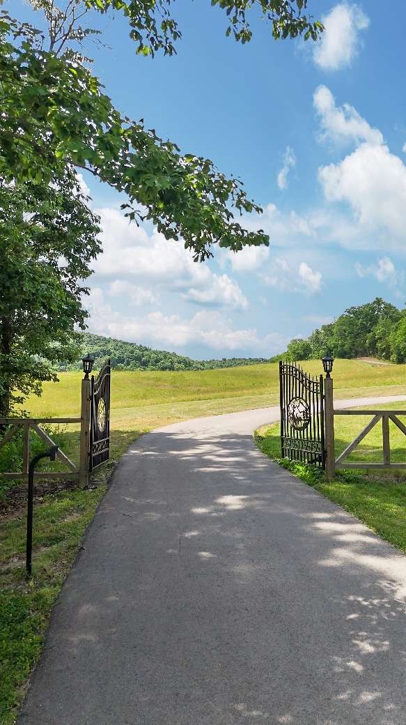2063 Kennedy Creek Road Auburntown, TN 37016 - Photo 6 of 98