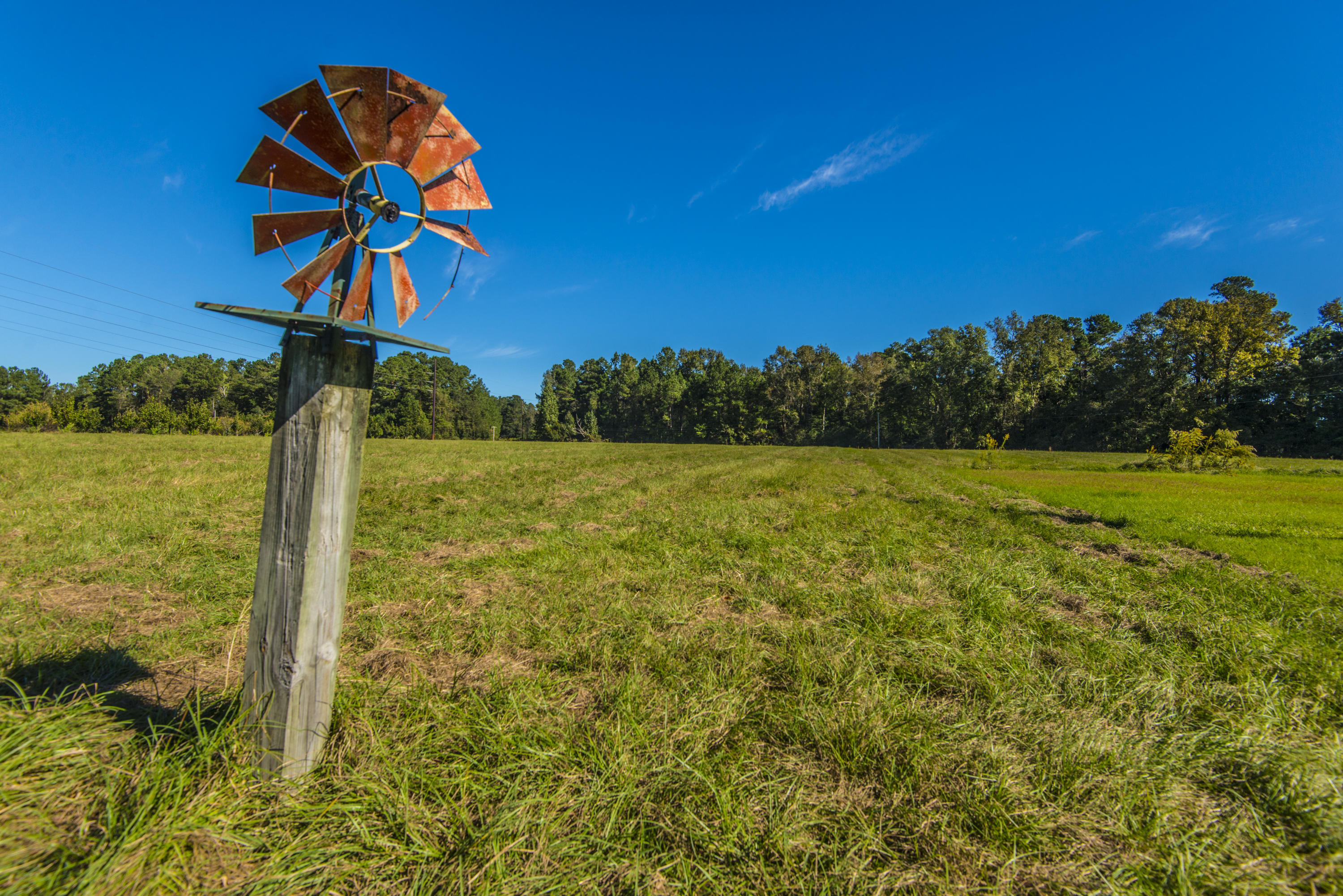 _DSC4078