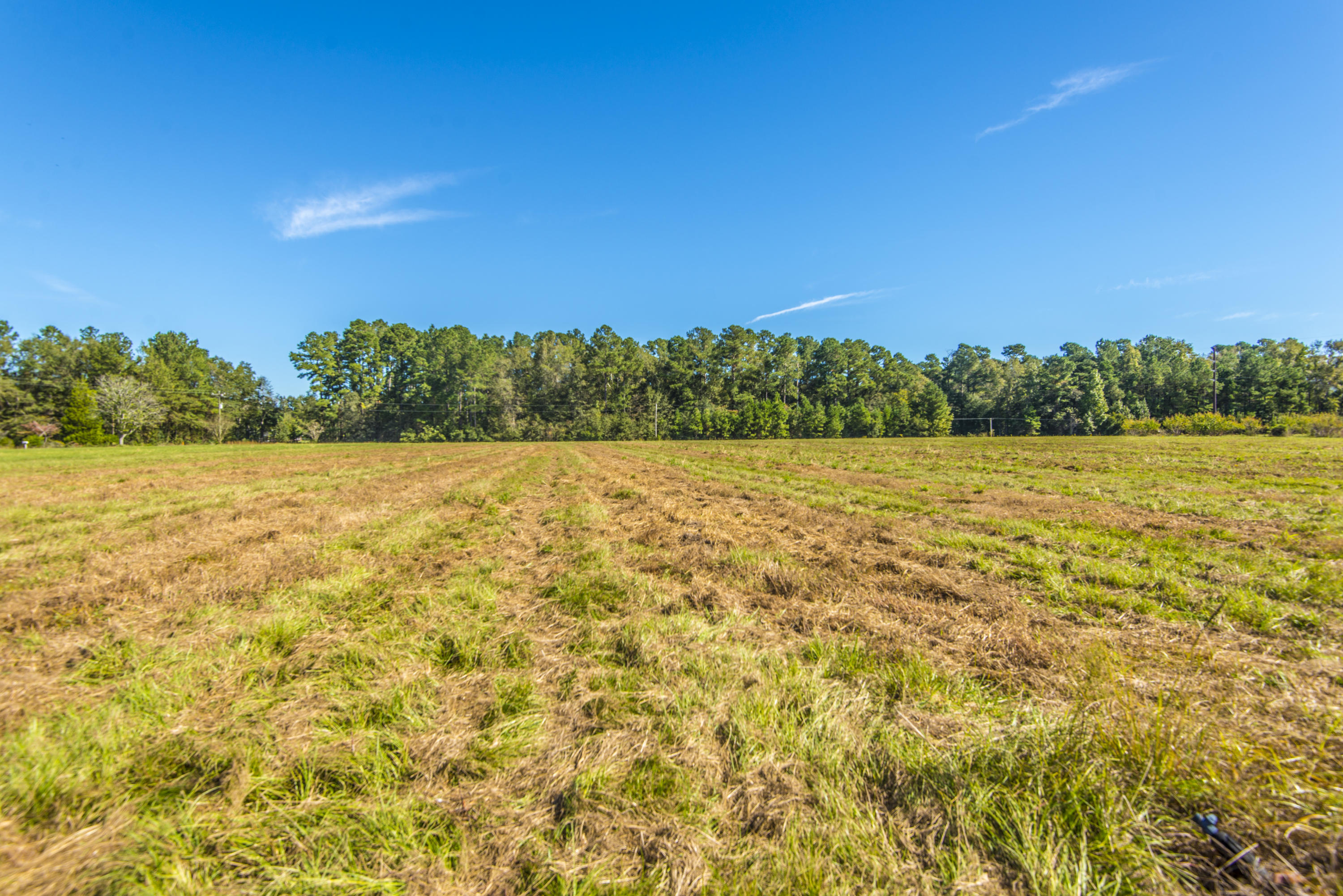 4820 Maple Ridge Road Walterboro, SC 29488 - Photo 41 of 47 _DSC4129