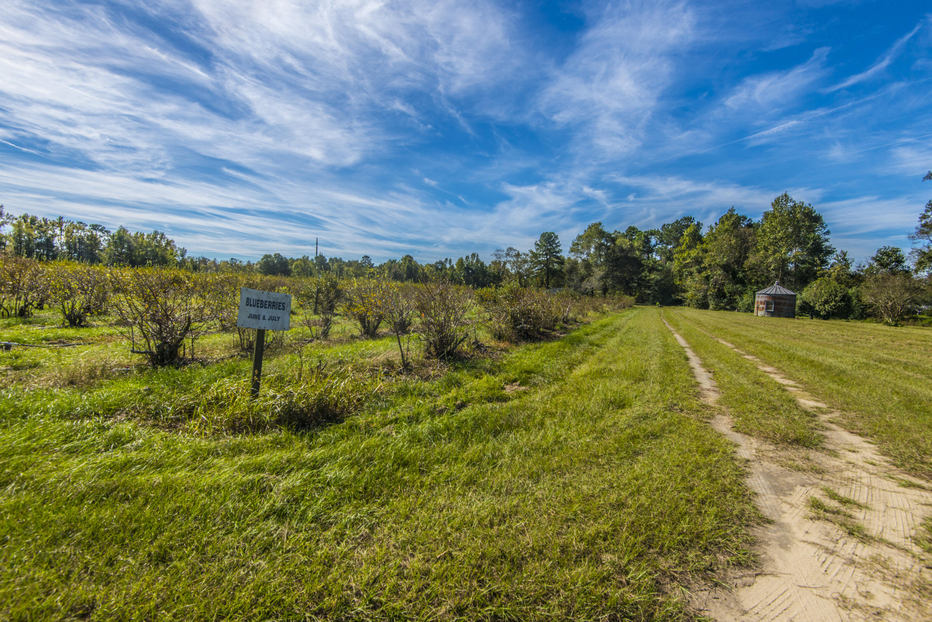 4820 Maple Ridge Road Walterboro, SC 29488 - Photo 43 of 47 _DSC4135