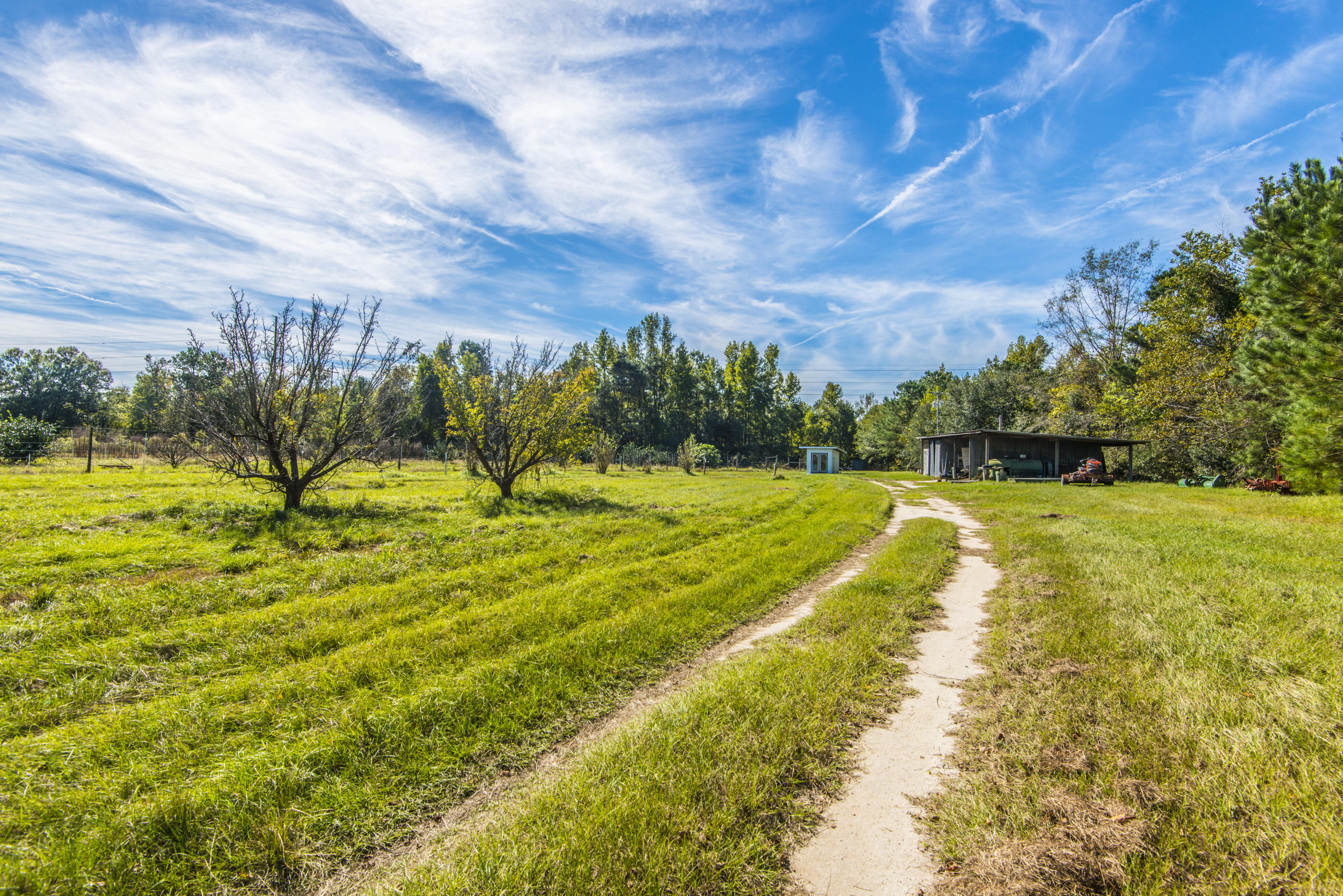 4820 Maple Ridge Road Walterboro, SC 29488 - Photo 45 of 47 _DSC4151