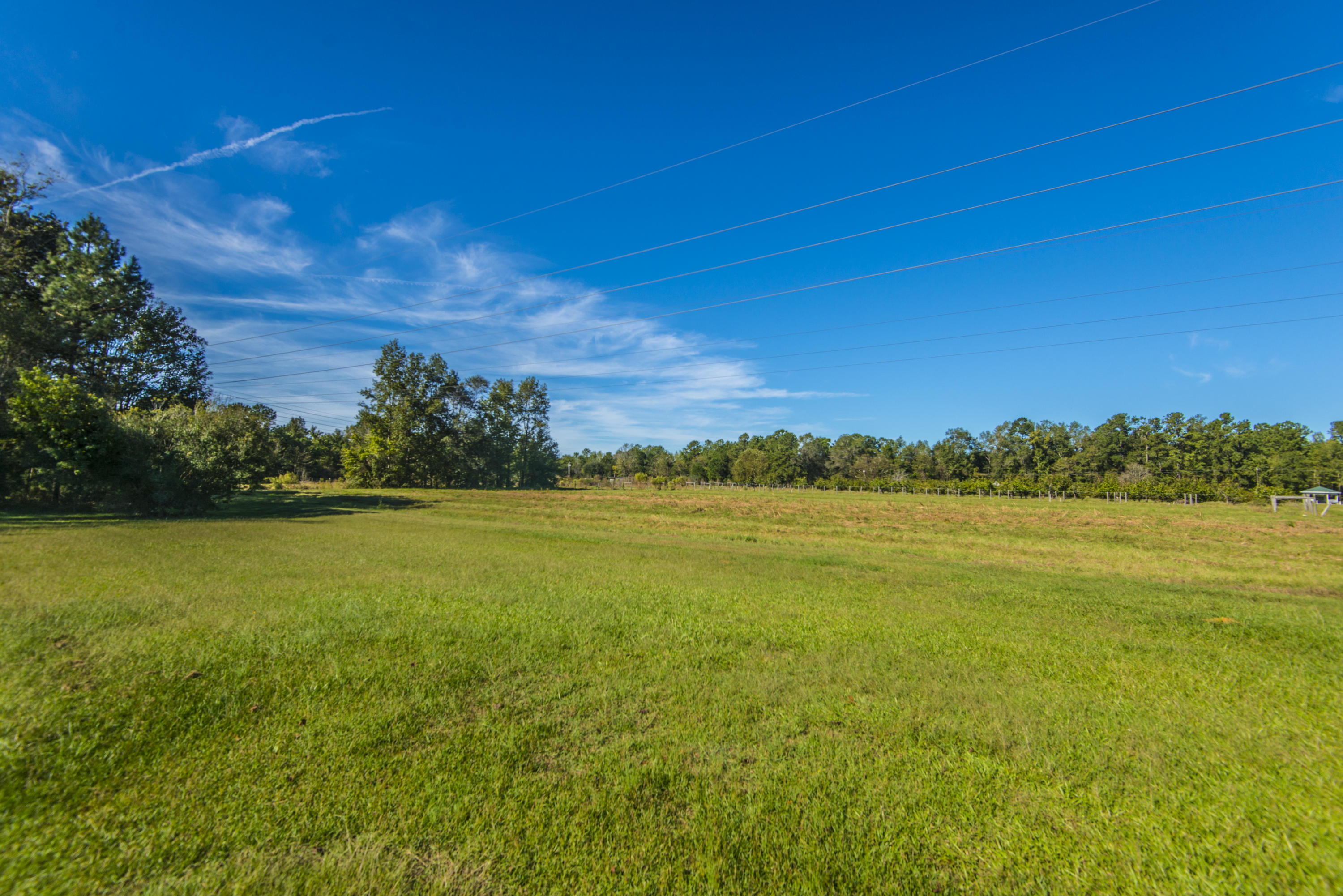 4820 Maple Ridge Road Walterboro, SC 29488 - Photo 46 of 47 _DSC4079
