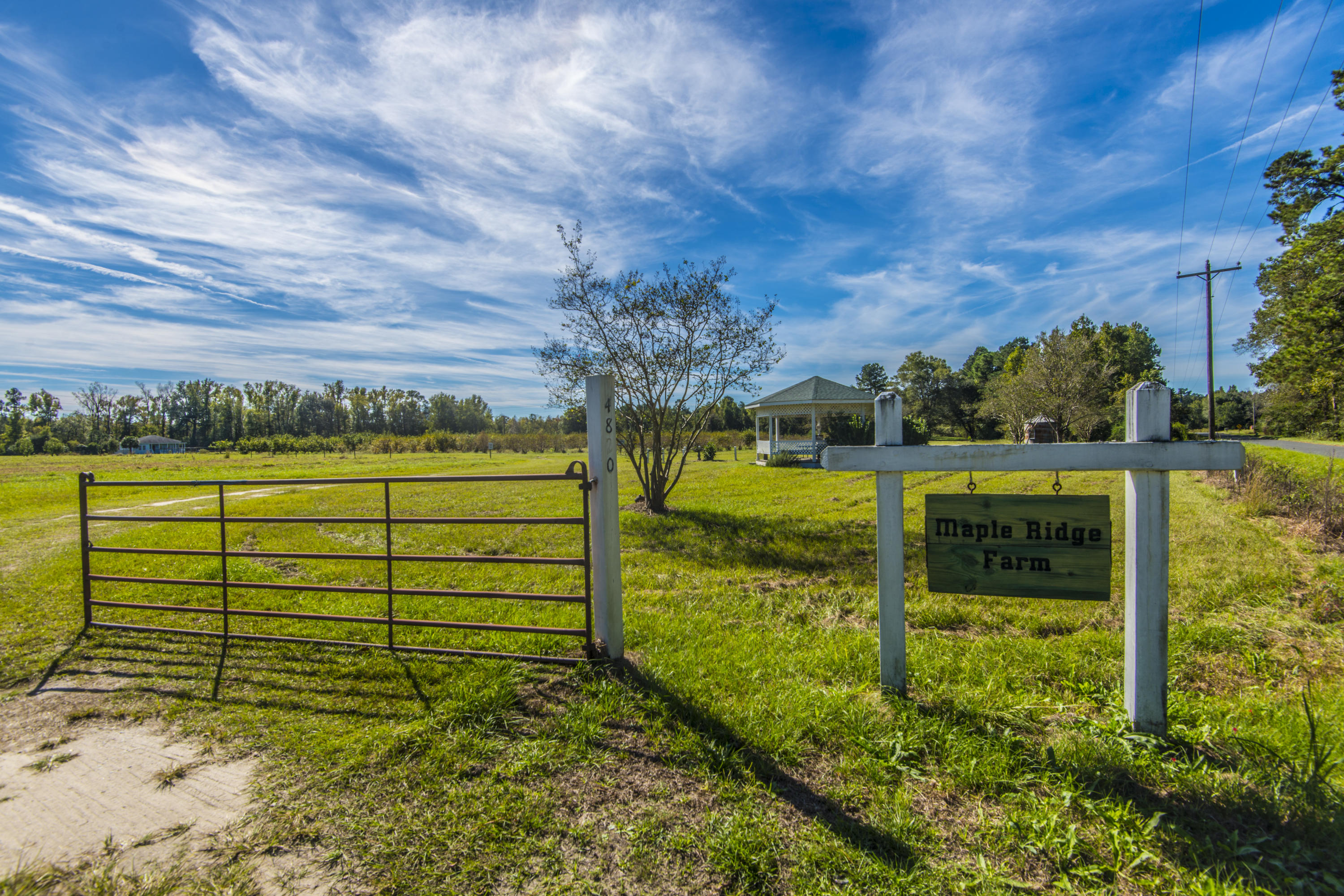 4820 Maple Ridge Road Walterboro, SC 29488 - Photo 47 of 47 _DSC4140
