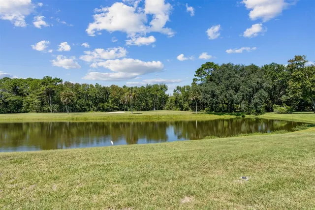 a view of a lake with a mountain in the background