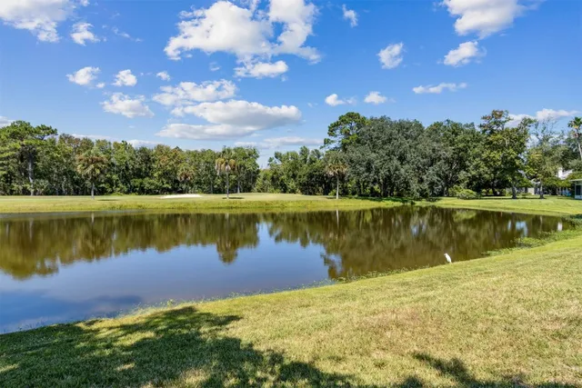 a view of a lake with houses in the back