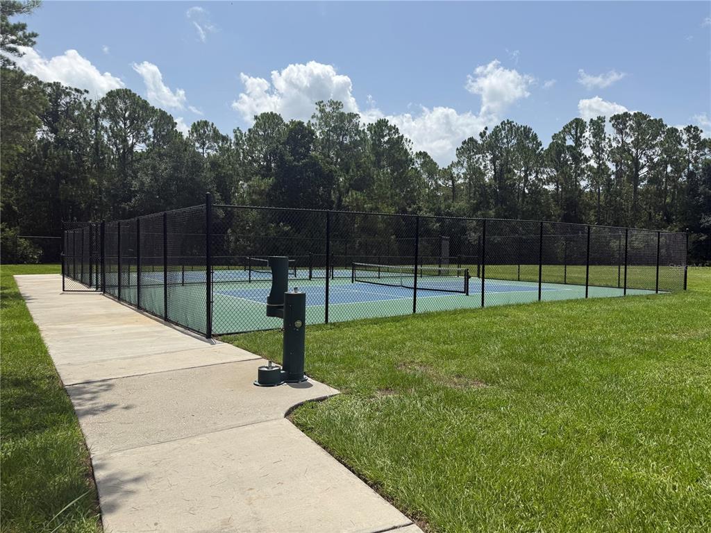12521 Sparkleberry Road Tampa, FL 33626 - Photo 41 of 41