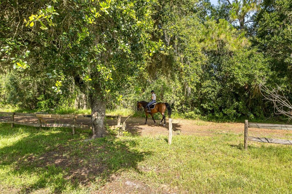 2880 Waters Edge Road Palm Harbor, FL 34685 - Photo 50 of 52