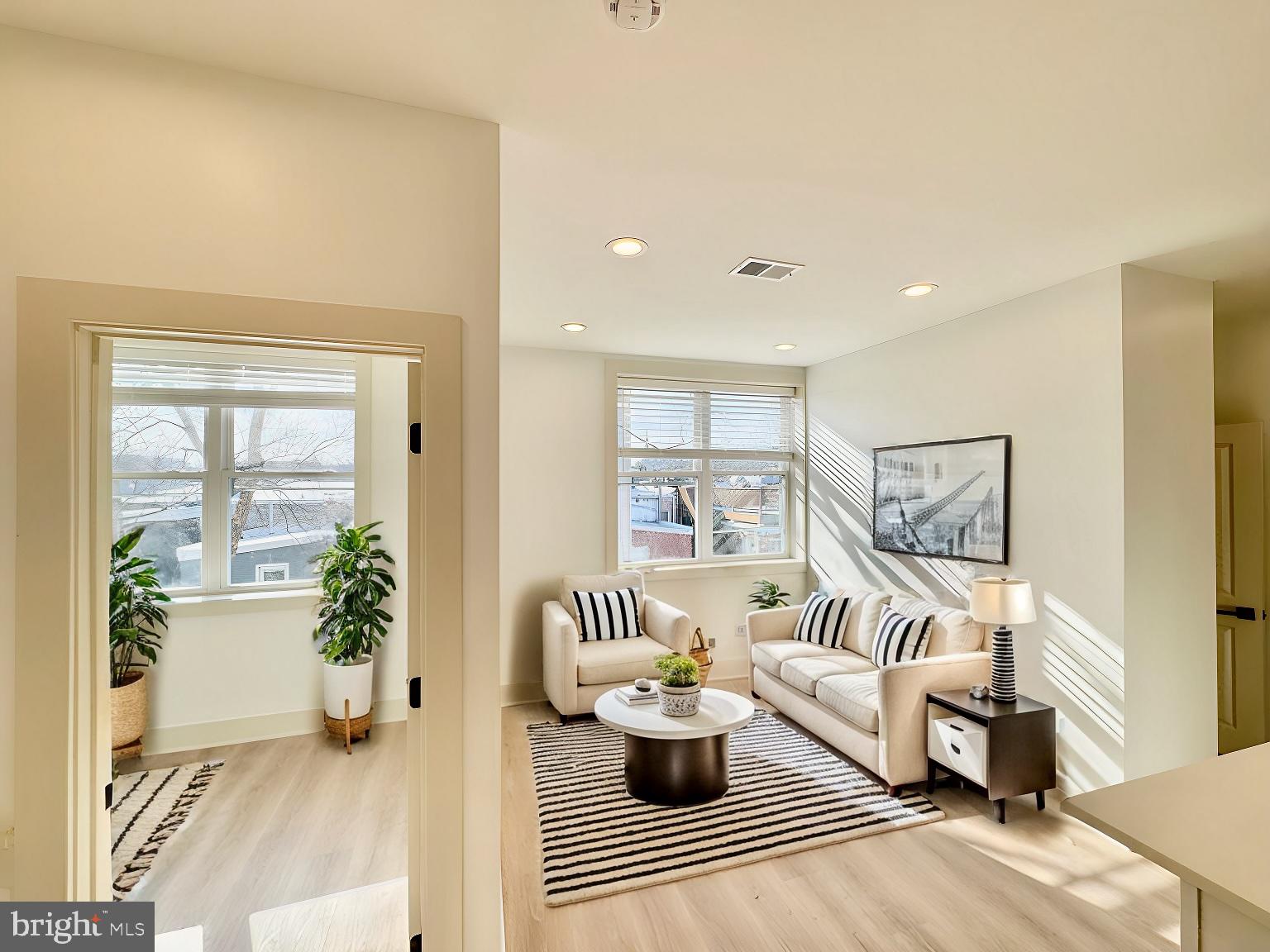 1802 11th Street Northwest, Unit 3B Washington, DC 20001 - Photo 2 of 19 a living room with furniture and a potted plant