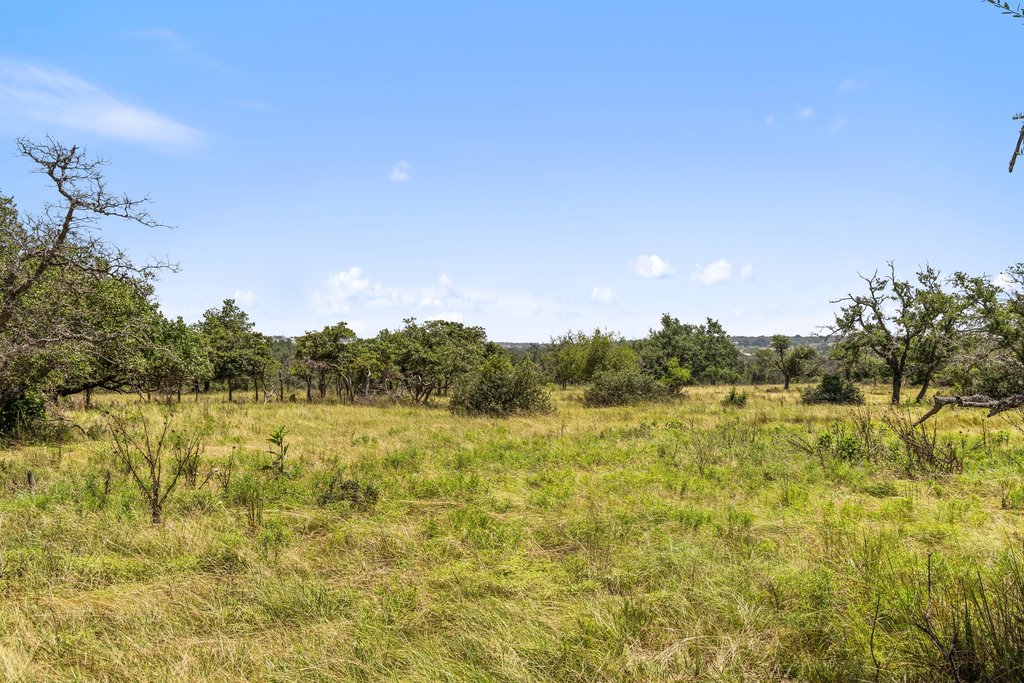 Tbd Reeh Road Fredericksburg, TX 78624 - Photo 36 of 37 Vast green meadows provide an idyllic setting for your dream home or a serene escape.