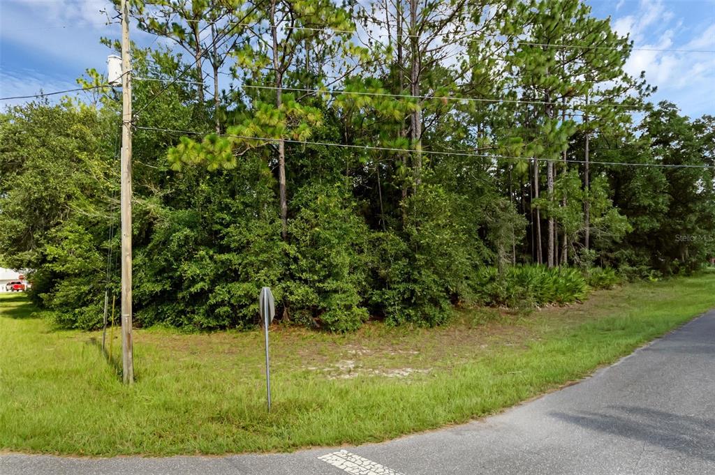 6745 North Nantucket Way Dunnellon, FL 34434 - Photo 3 of 7 a view of a backyard