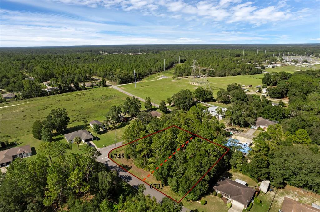 6745 North Nantucket Way Dunnellon, FL 34434 - Photo 4 of 7 a view of a green field with lots of bushes