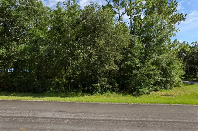 a view of outdoor space and yard